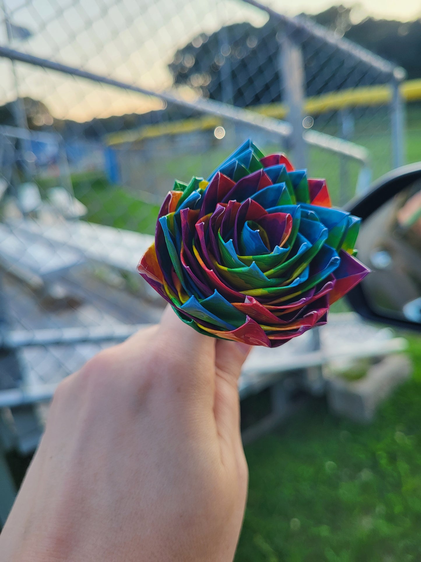 Pride Rose pen