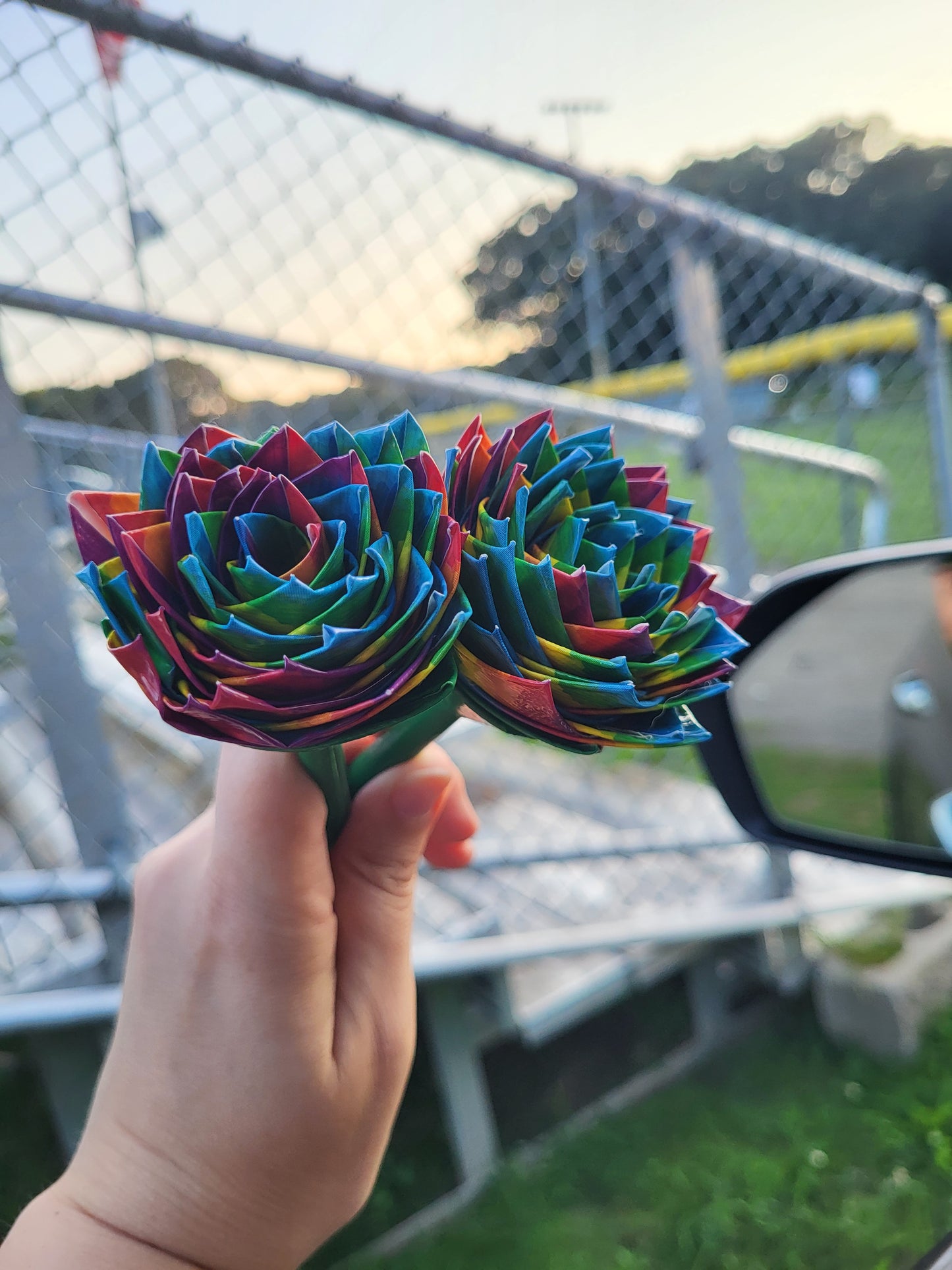 Pride Rose pen