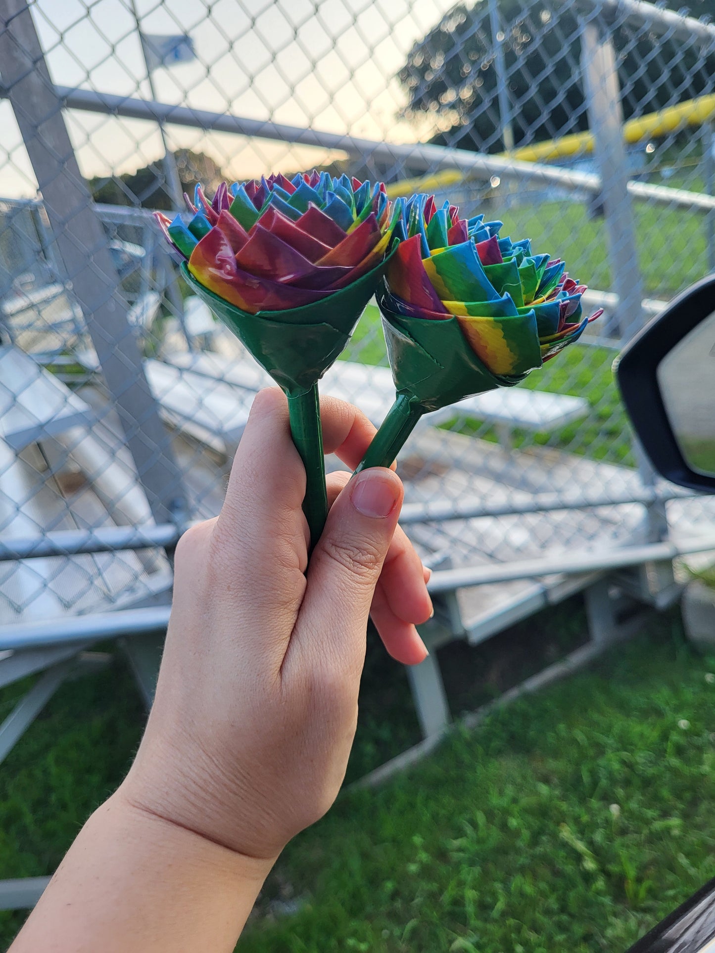 Pride Rose pen